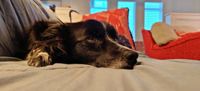 Pacific Beach Smudge