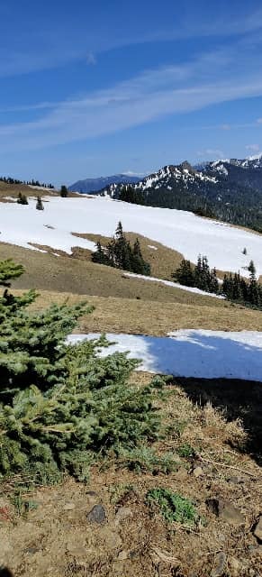 Olympic National Park 01