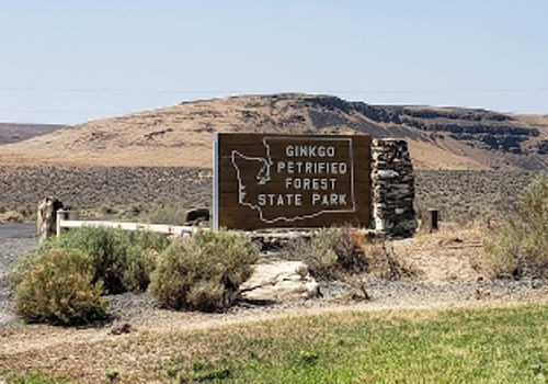 Ginko Petrified Forest State Park