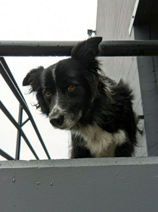 Seattle Fremont Smudge 01