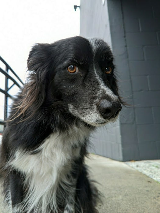 Seattle Fremont Smudge 02