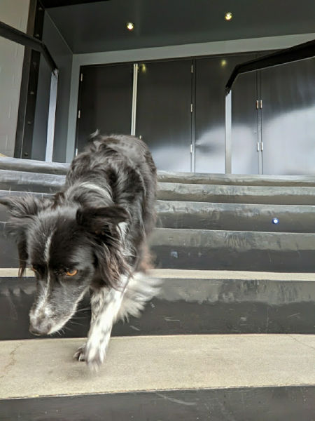 Seattle Fremont Smudge 03