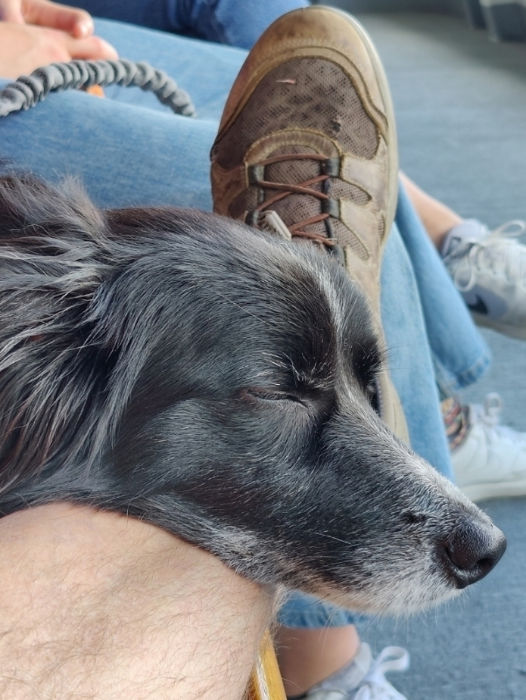 Kingston Parade Smudge 01