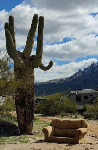 Gold Canyon Cactus Couch