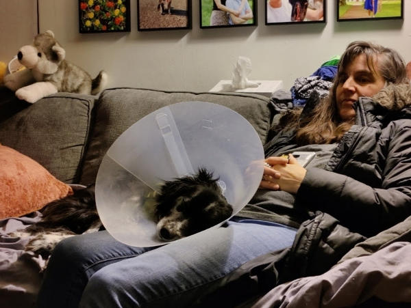 Cone of Shame v2 Smudge Mom