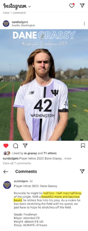 Sundodgers Half Man Half Lion Dane