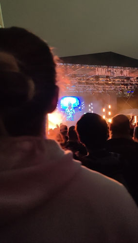 Bumbershoot Fatboy Slim Dane 01