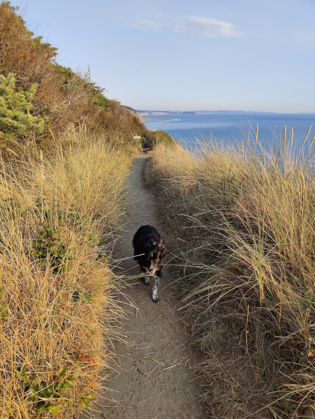 Fort Ebey Smudge 02