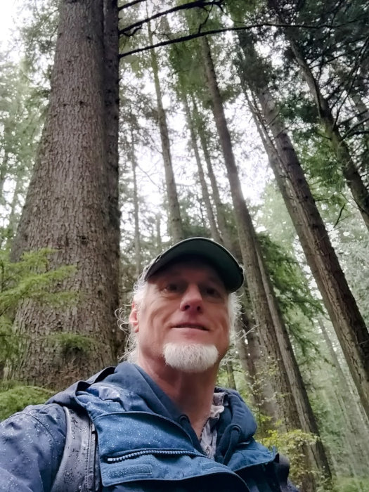 Tiger Mountain Foraging Papa