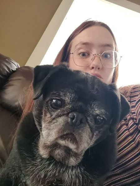 Maddy and June the Pug