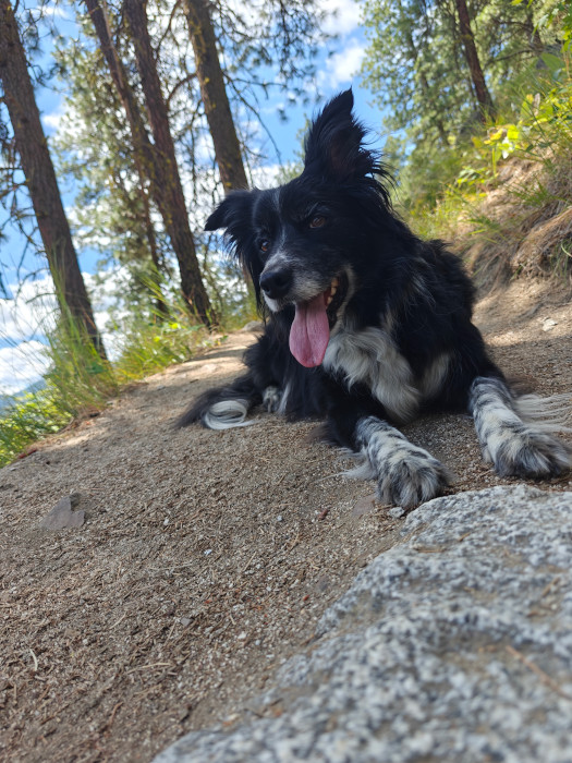 Icicle Ridge Hike 02 Smudge