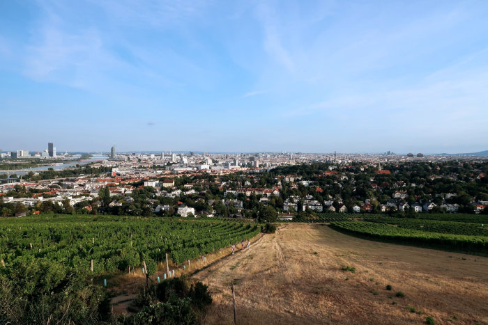 Vienna 02 Nussberg Brock