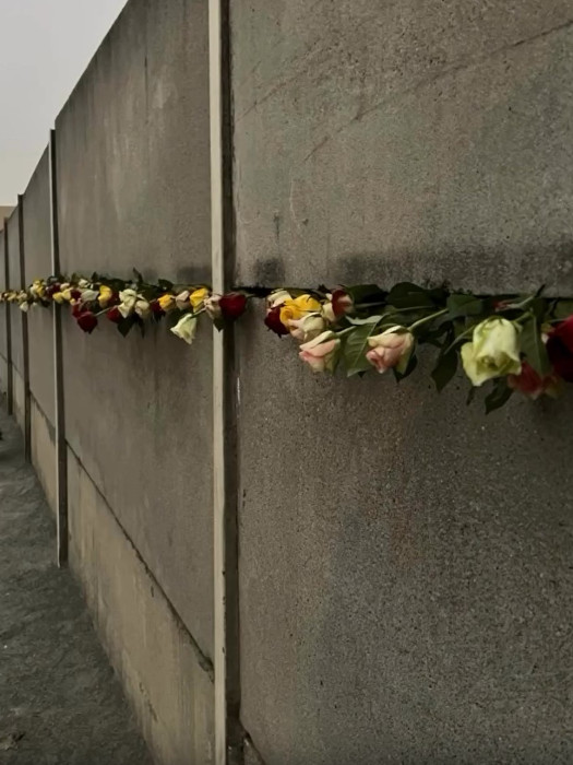 Berlin Wall Flowers