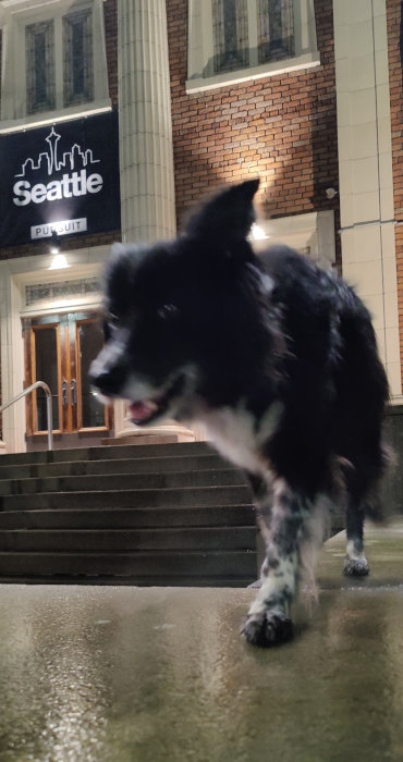 Smudge 01 11-Feb-2024