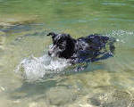 Smudge Wenatchee River 01-Jul-2024
