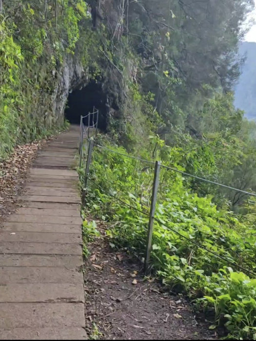 Madeira Levadas Tunnel 01