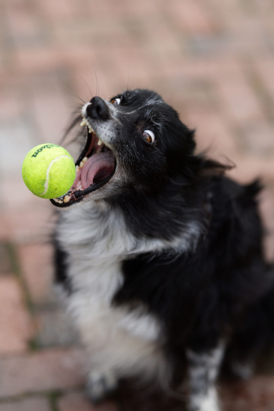 Smudge 26-Dec-2024 3871 Smudge