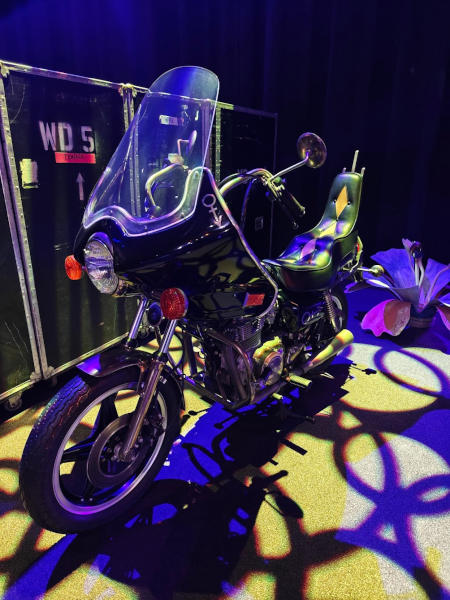 Paisley Purple Rain Bike