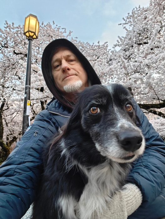 UW Quad Cherry Blossoms Papa Smudge