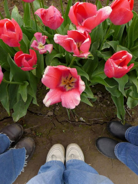 Skagit Valley Tulip Fest 01 Maddy Feet