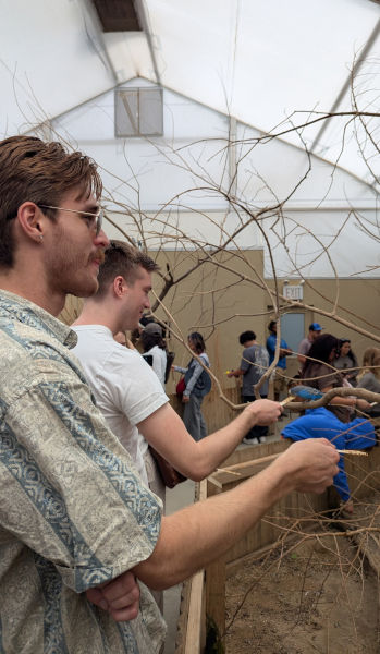 NYC Brock Zoo G-Pod 01