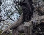 Vashon Island Troll 01