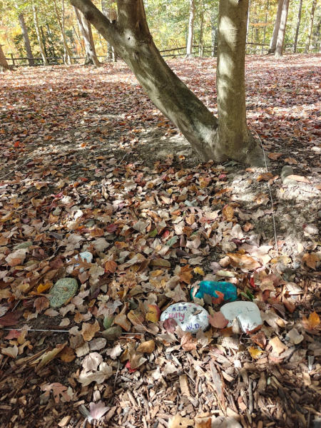 Mt Vernon Slave Graves 01