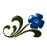 blue flower