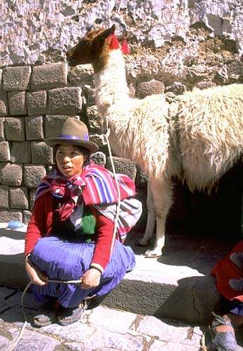 Woman and Llama
